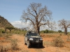 30jeep i baobab tanzania