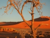 48Pustynia Namib