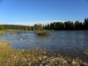 RUS_Altai Bija river_7317