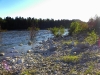 RUS_Altai Bija river_7318