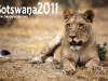 Botswana_P4T_000