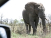 Botswana_P4T_037