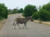 Botswana_P4T_065