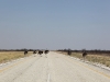 Botswana_P4T_119