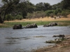 Botswana_P4T_146