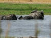 Botswana_P4T_165