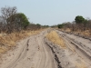 Botswana_P4T_181