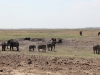 Botswana_P4T_194