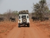 Botswana_P4T_197