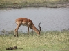 Botswana_P4T_203