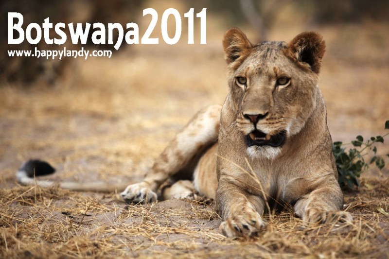 Spotkanie 24 listopada 2011 - Botswana